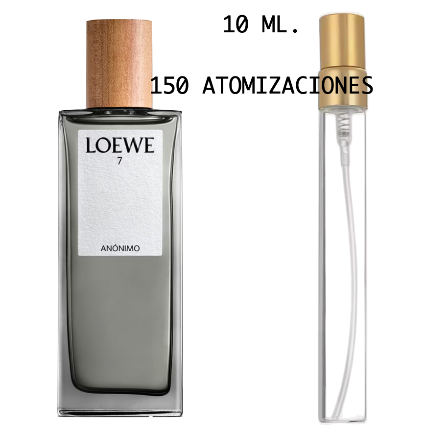 Loewe 7 Anonimo Loewe