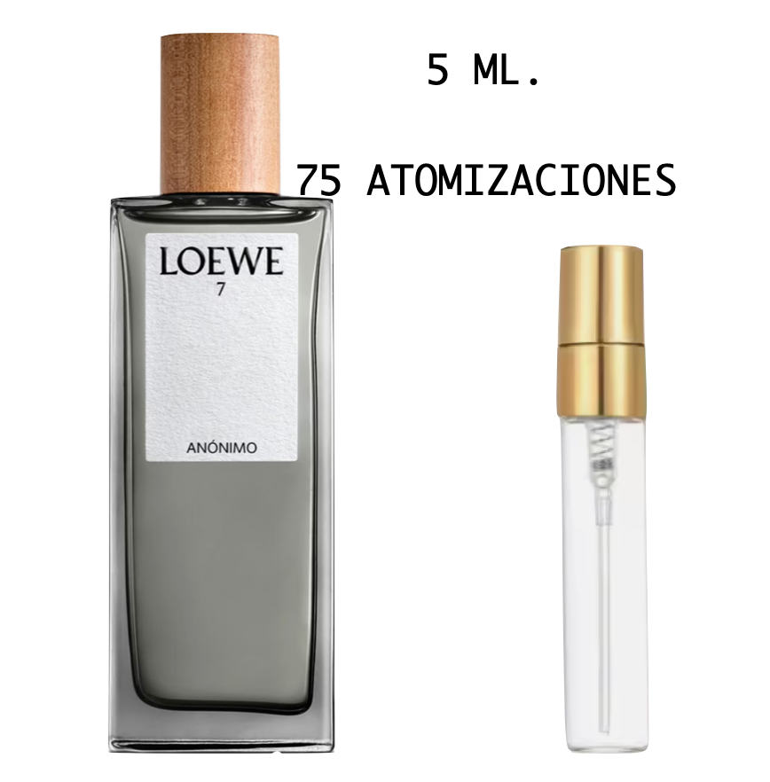 Loewe 7 Anonimo Loewe
