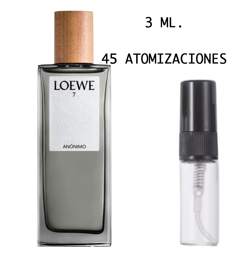 Loewe 7 Anonimo Loewe