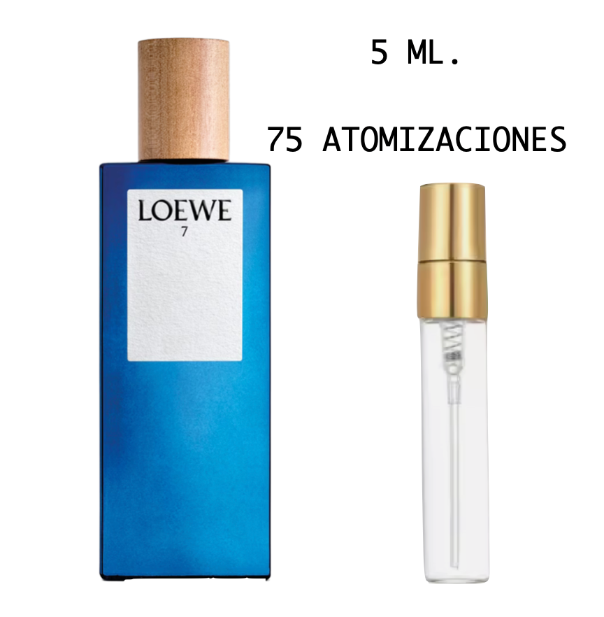 Loewe 7 Loewe